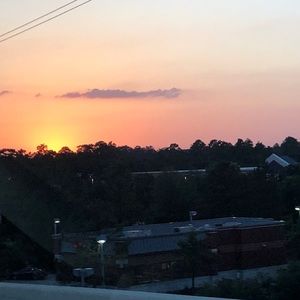 Meet your Posher, Suzie